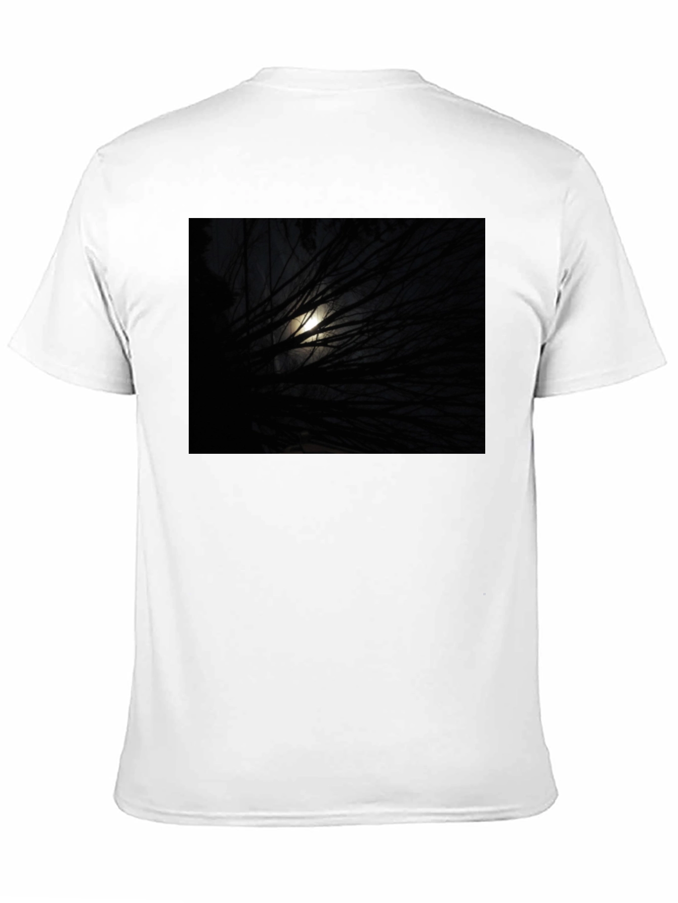Black Moonlit Branches Graphic Tee - Unisex Black T-Shirt view 11