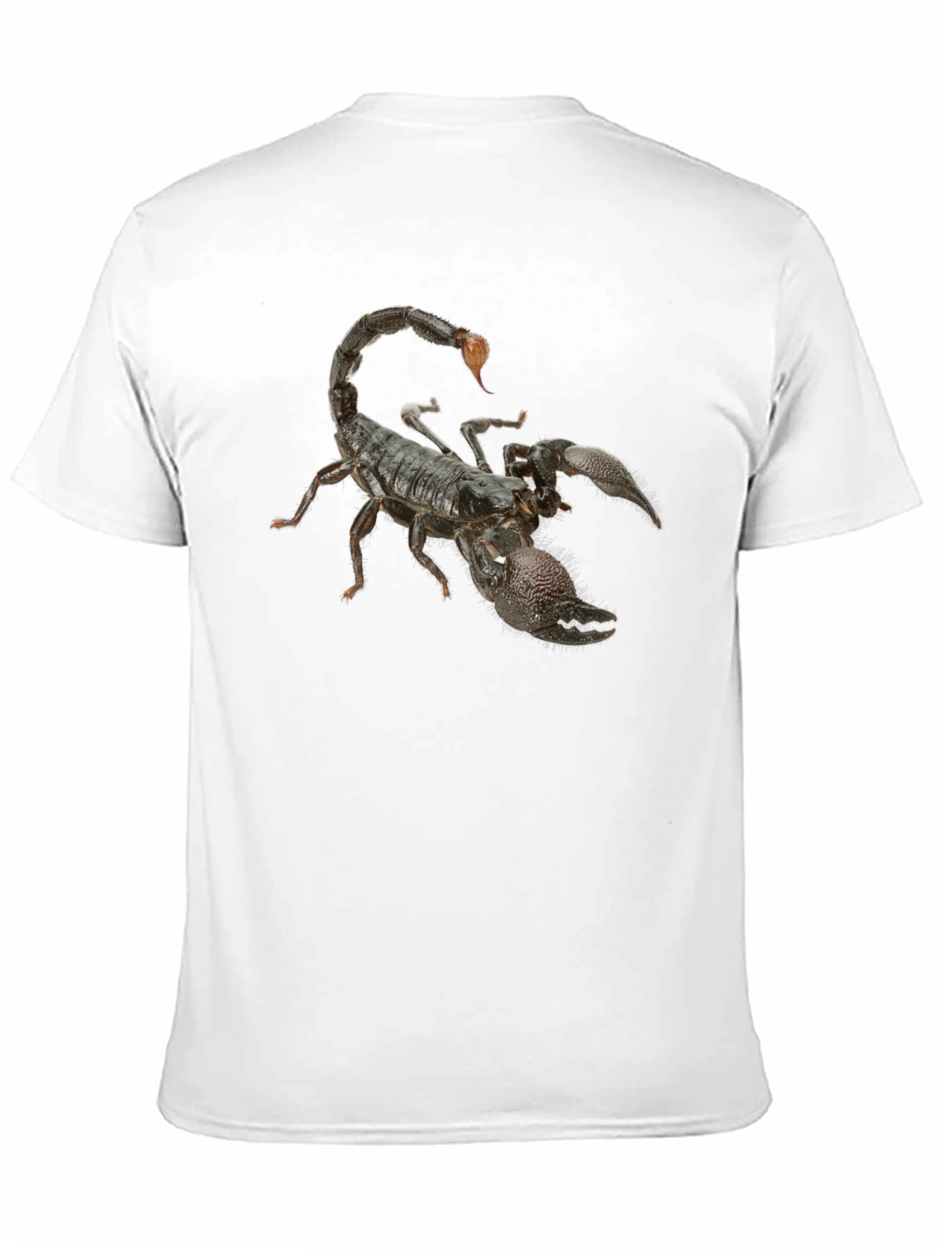Black Scorpion Graphic Black T-Shirt view 11