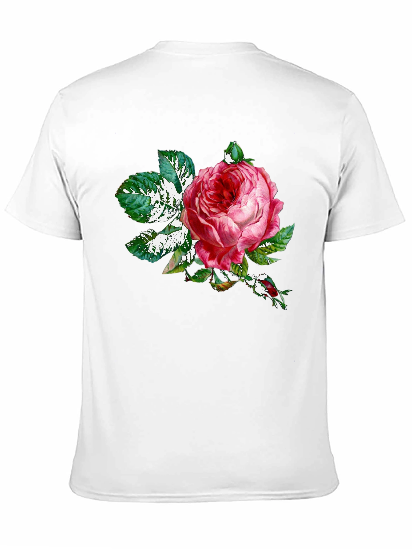 Black Rose Graphic Tee - Black Cotton T-Shirt view 11