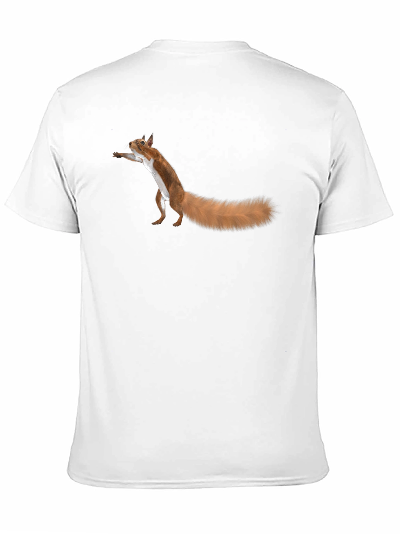 Black Squirrel Graphic Tee - Fun Black T-Shirt view 11