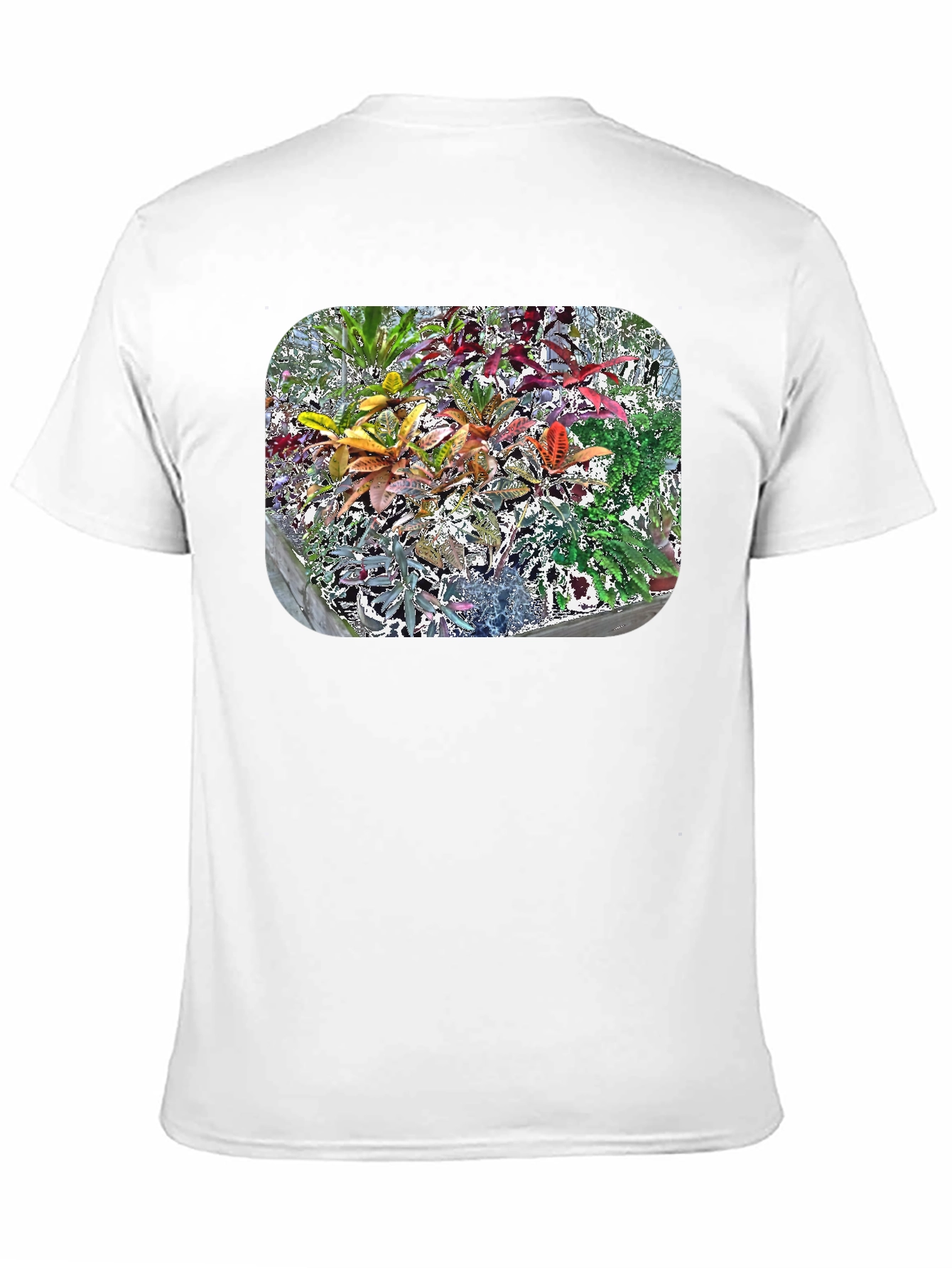Black Vibrant Croton Plant Graphic Tee view 11