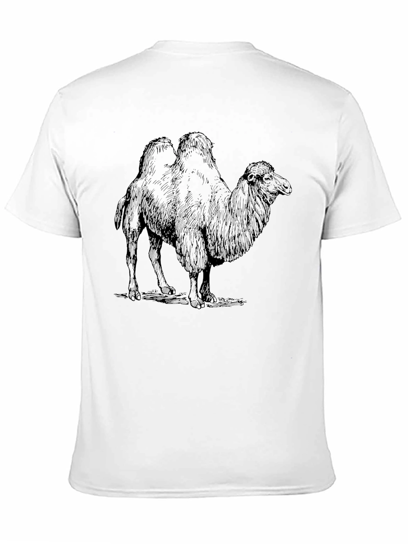 Black Camel Graphic Print Black T-Shirt view 11