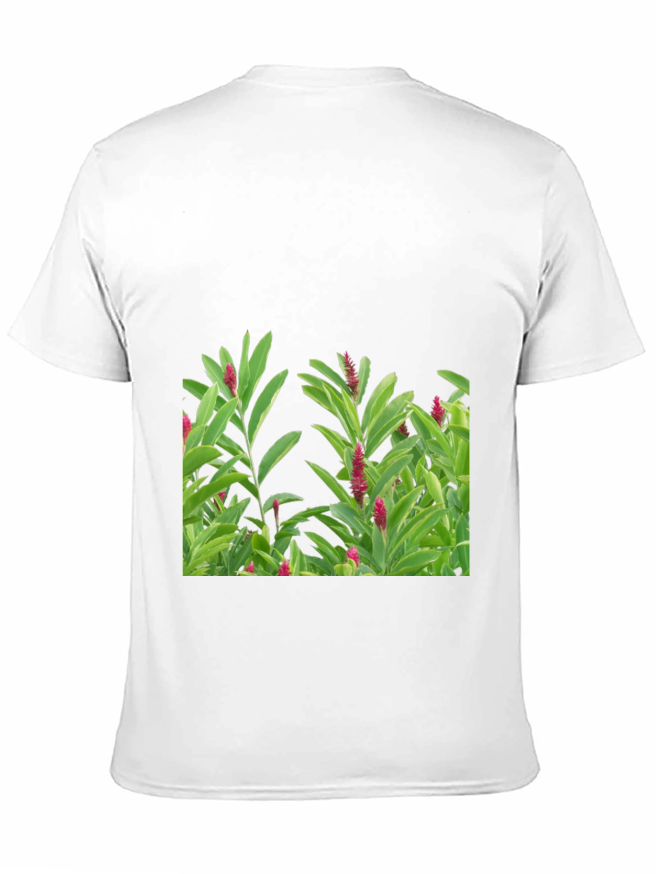 Black Tropical Plant Graphic Tee - Black Cotton Shirt view 11