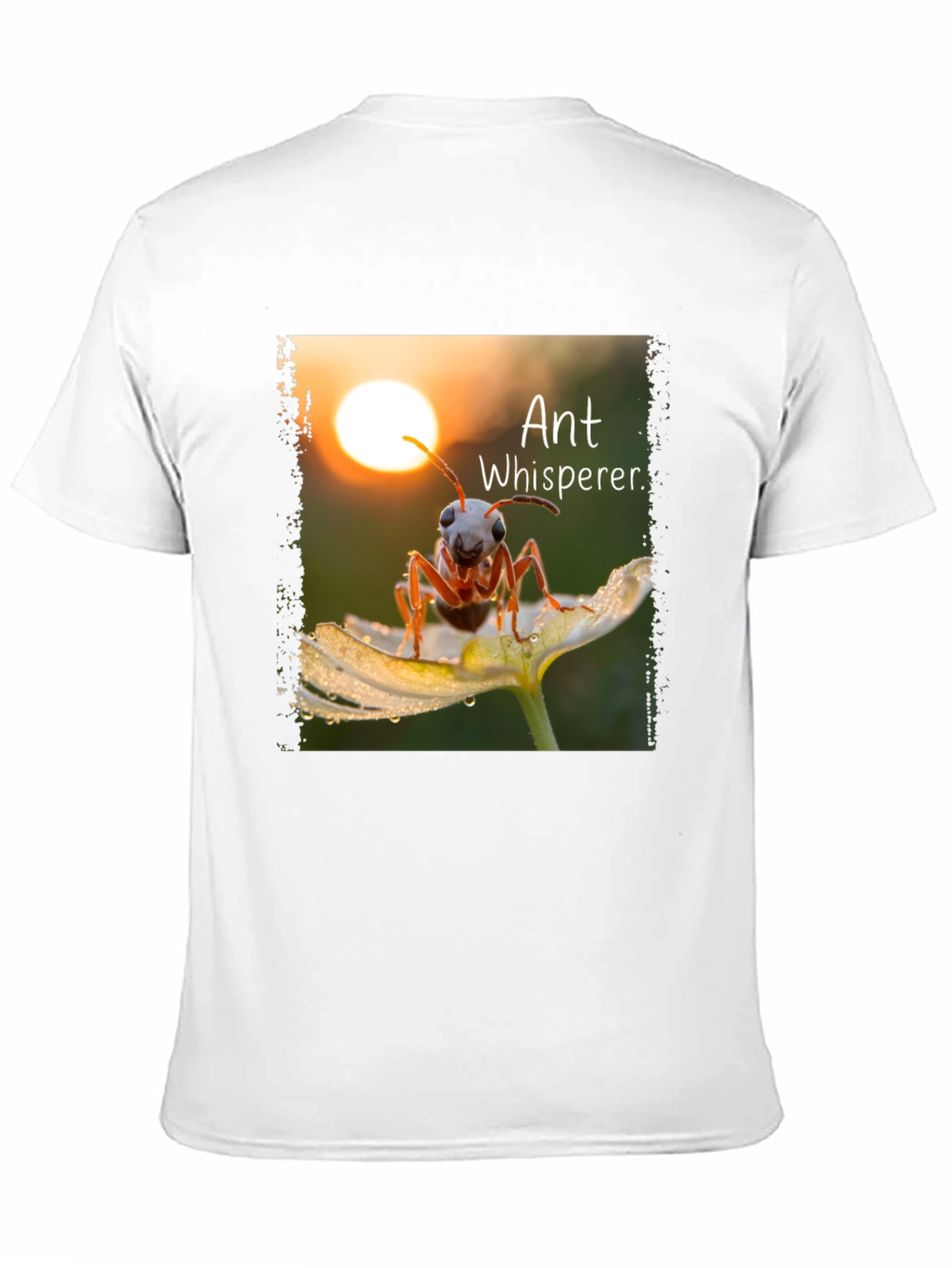 Black Ant Whisperer Graphic T-Shirt view 11