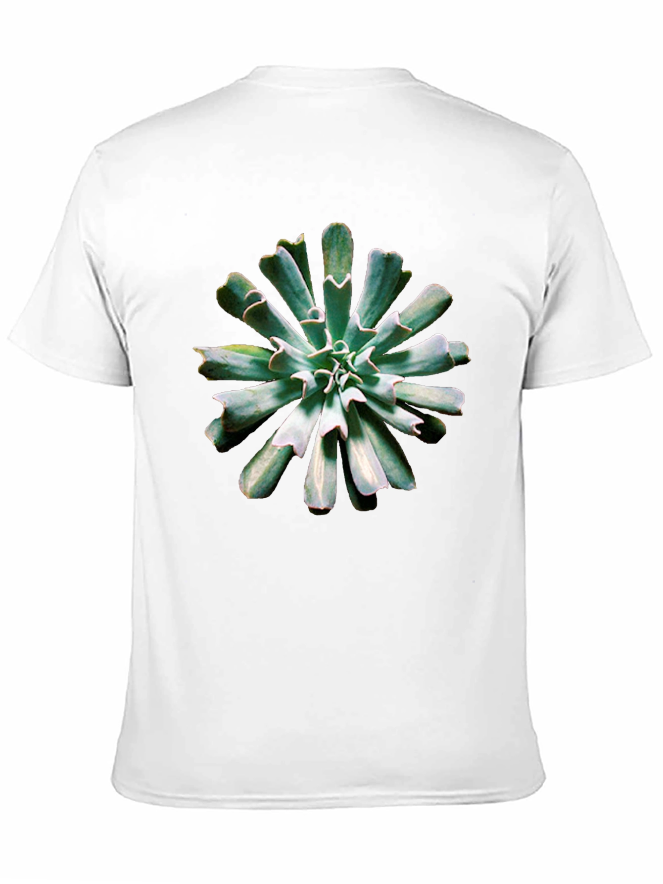 Black Succulent Print Black T-Shirt view 11