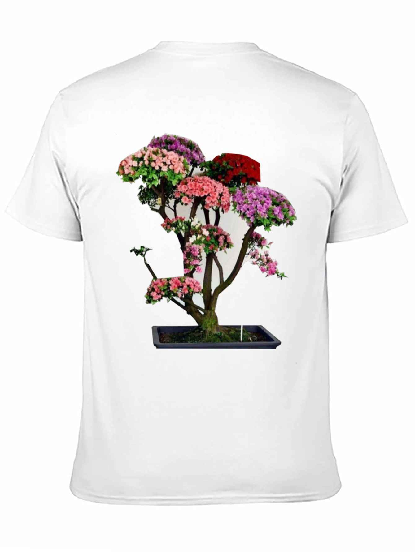 Black Bonsai Tree Graphic Tee - Unique Floral Design view 11