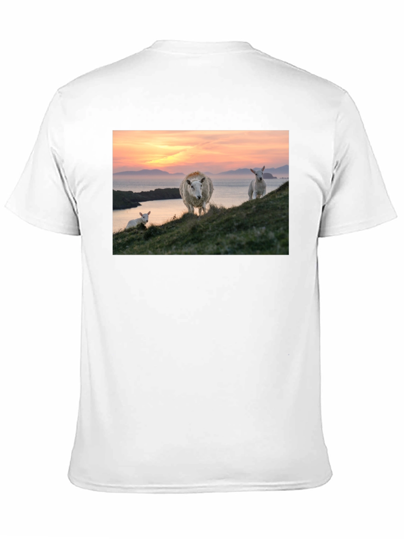 Black Scenic Sheep Graphic Tee - Black Cotton Blend view 11