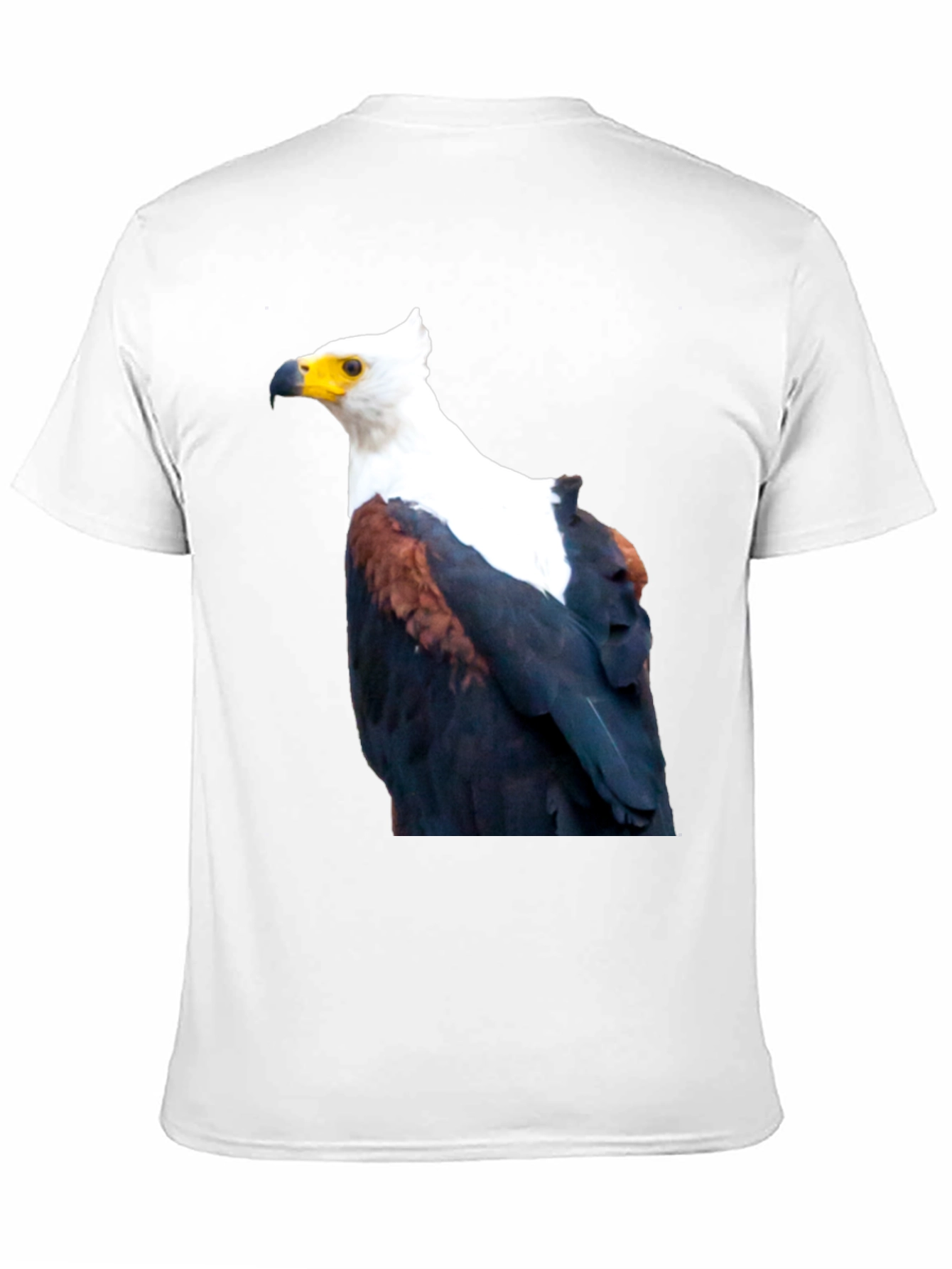 Black Eagle Graphic Tee - Cool Bird Print view 11