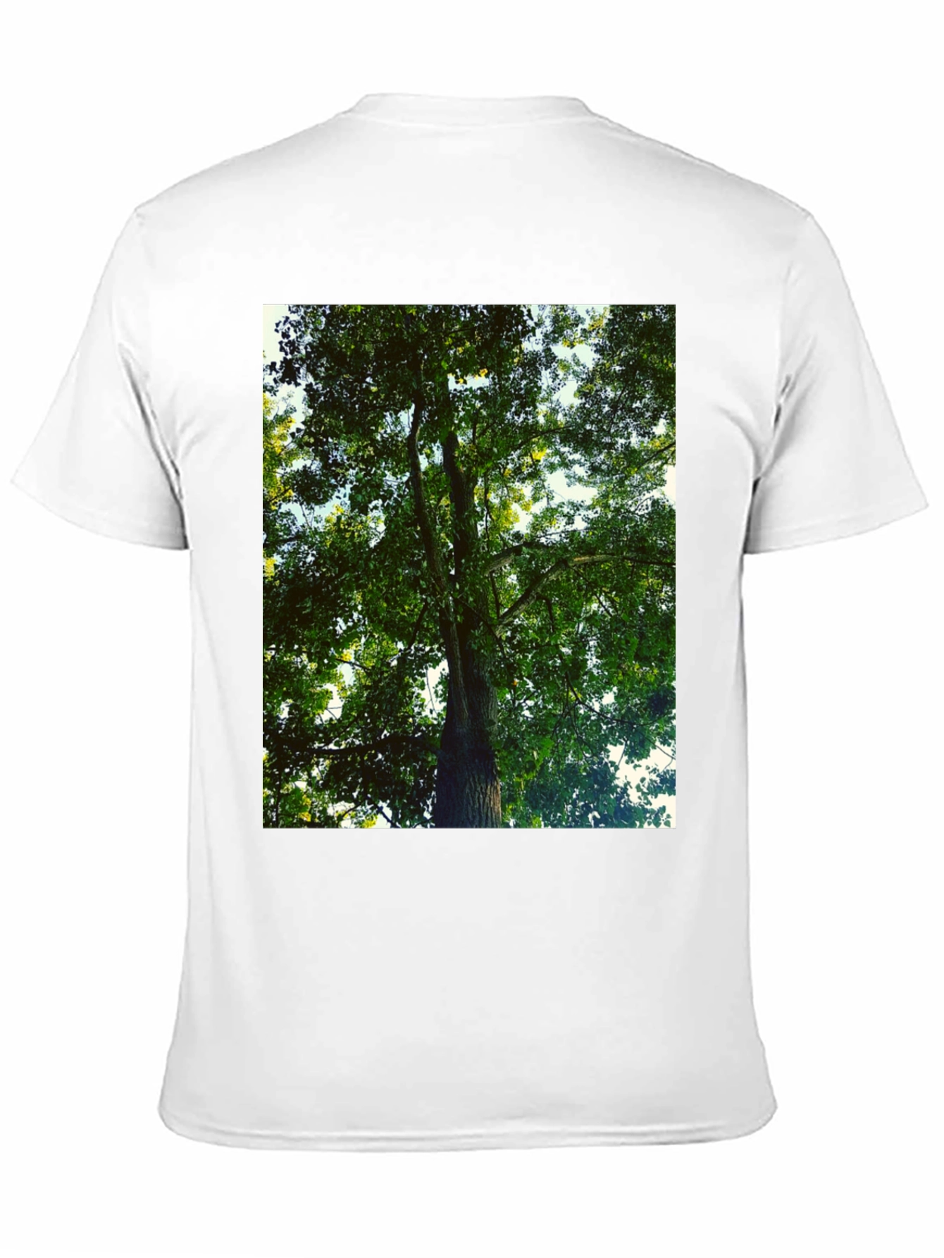 Black Nature Tree Graphic Tee - Black Cotton T-Shirt view 11