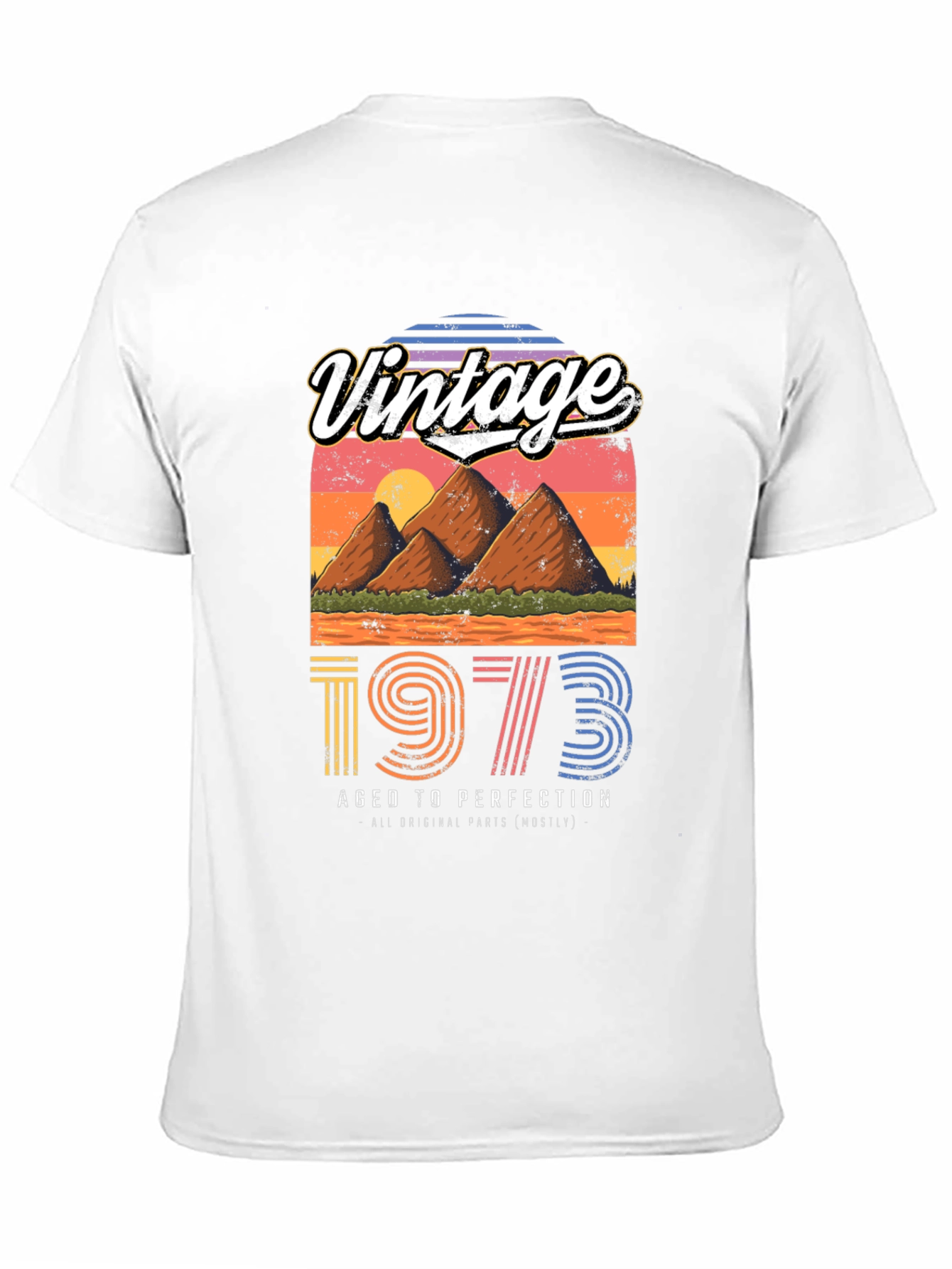 Black Vintage 1973 Aged to Perfection Graphic Tee view 11