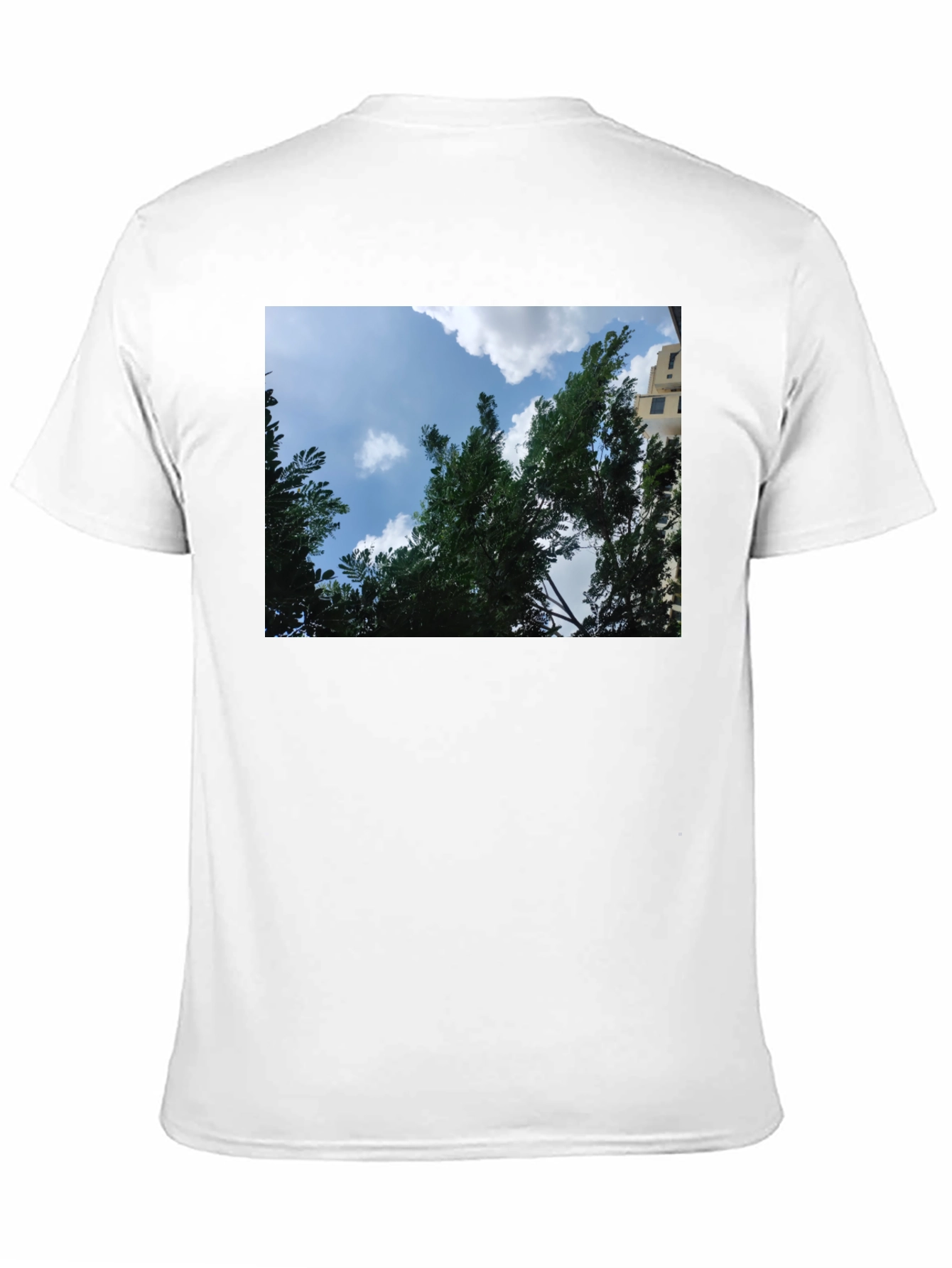 Black Sky Through Trees Graphic Tee - Nature Lover's Shirt view 11