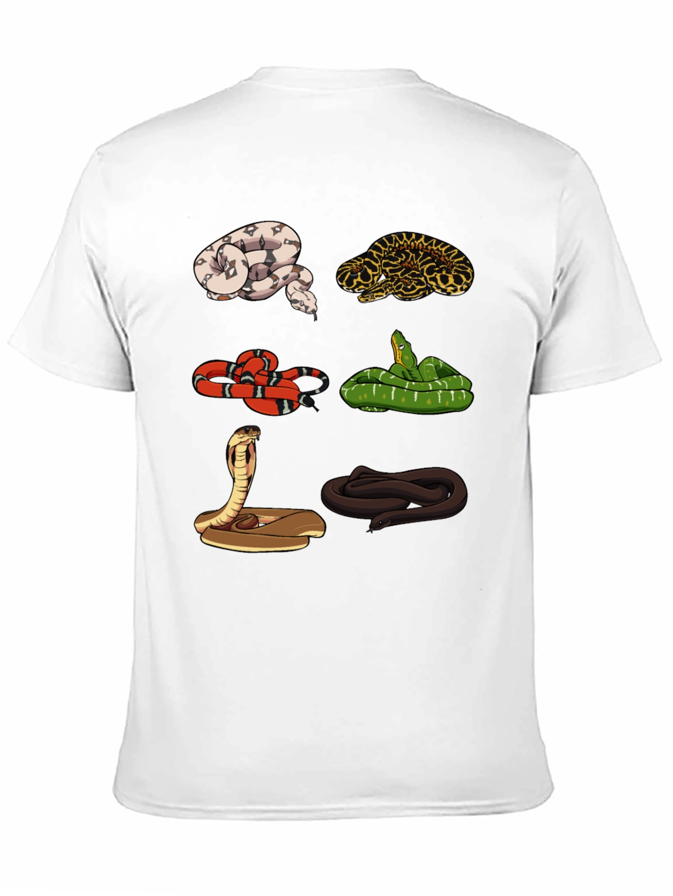 Black Snake Variety Graphic Tee - Reptile Lover Shirt view 11
