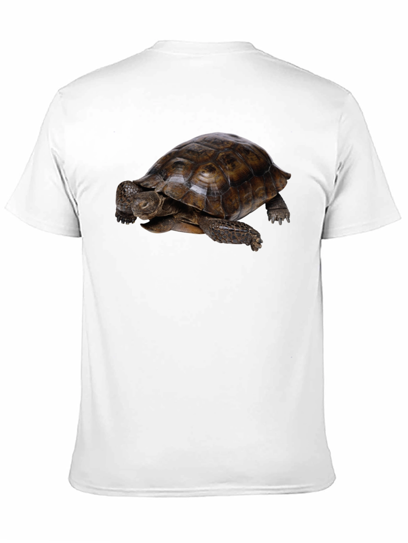 Black Tortoise Graphic Black T-Shirt view 11
