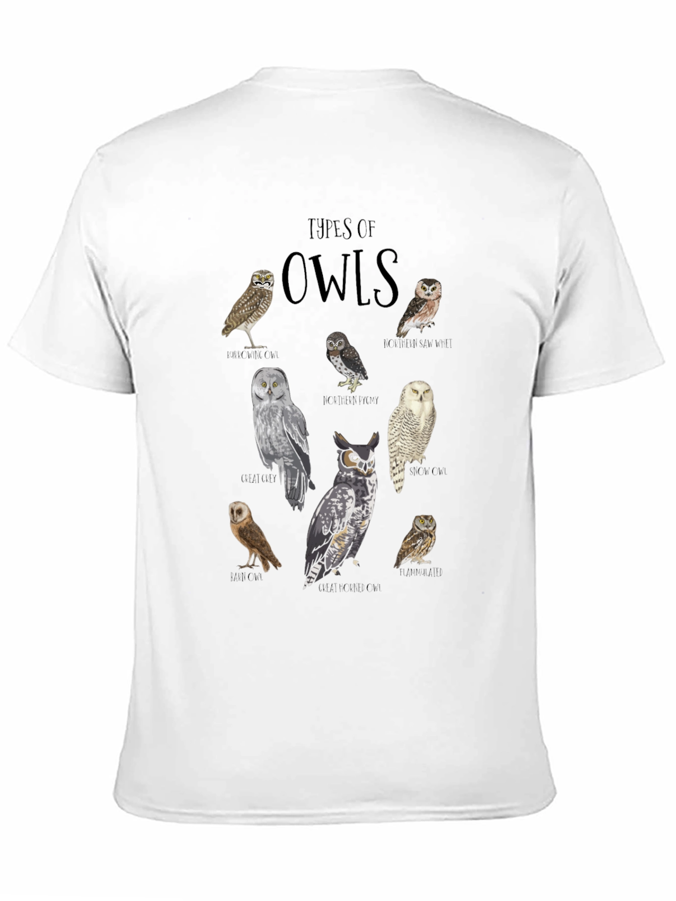 Black Types of Owls Graphic T-Shirt view 11