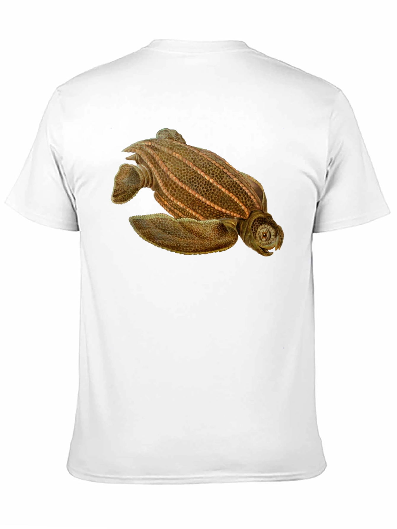 Black Sea Turtle Graphic Tee - Black Cotton Blend view 11