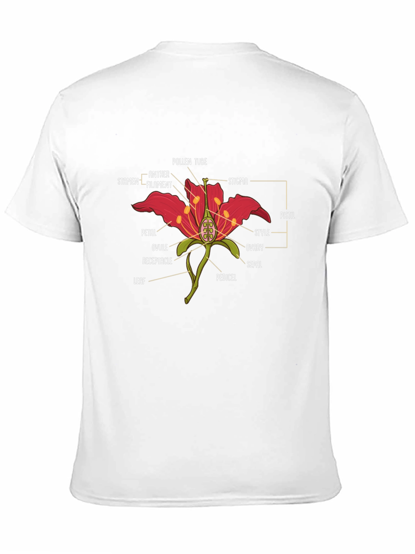 Black Anatomy of a Flower Graphic T-Shirt view 11