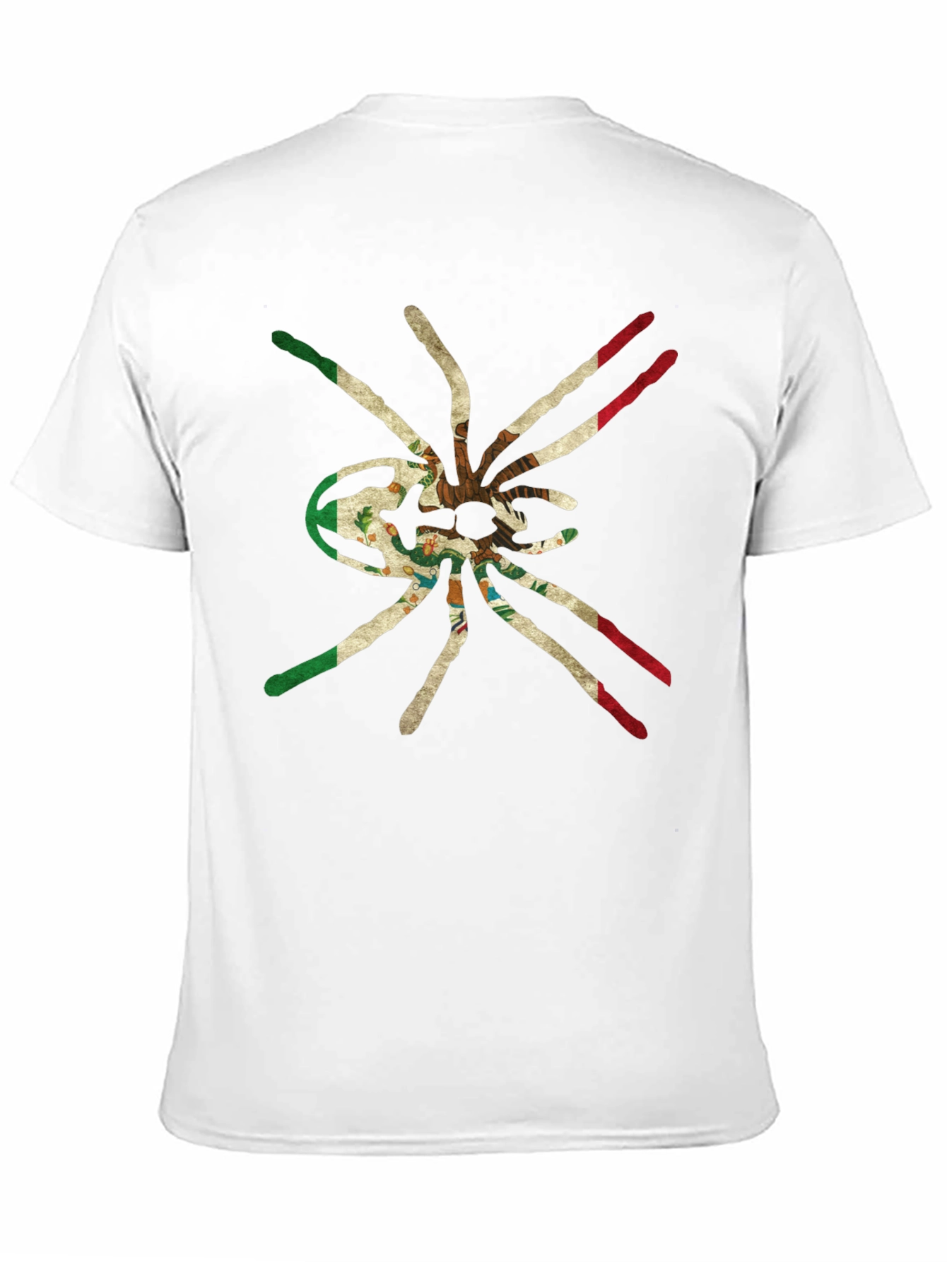 Black Mexican Flag Tarantula Graphic Tee view 11