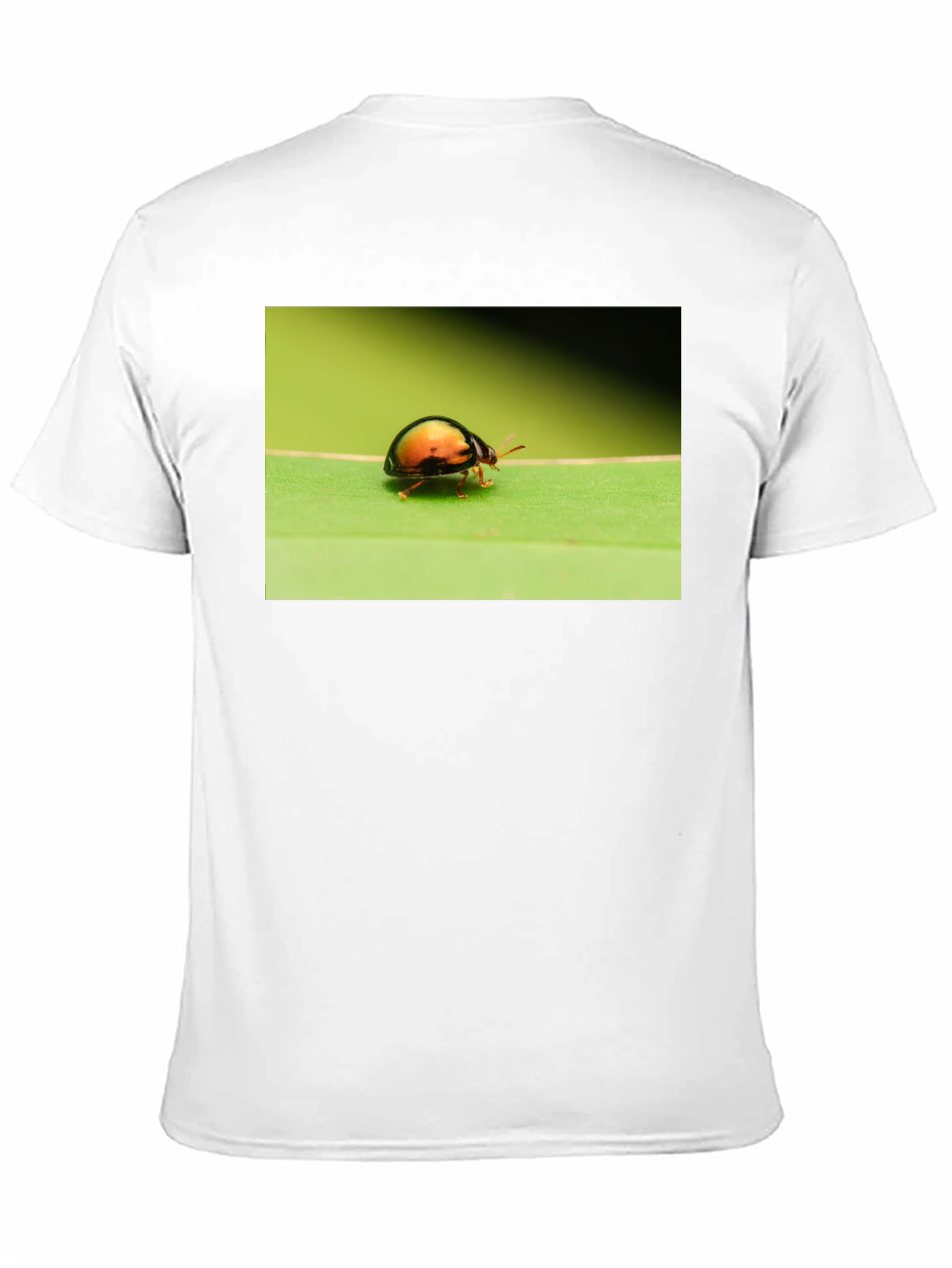 Black Bug on Leaf Graphic Tee - Black Unisex T-Shirt view 11