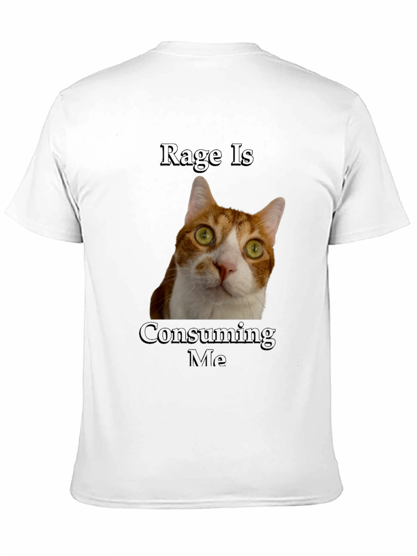 Black Rage Is Consuming Me Cat T-Shirt - Funny Graphic Tee view 11