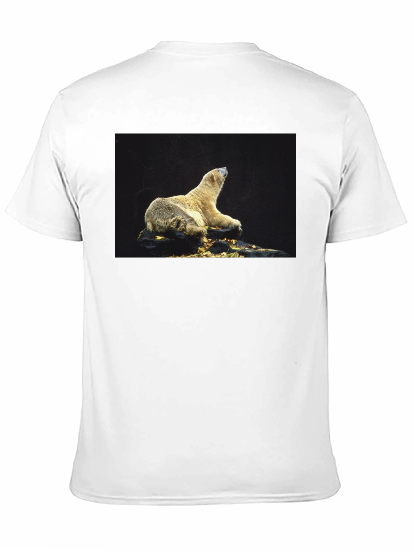 Black Polar Bear Graphic Black T-Shirt view 11