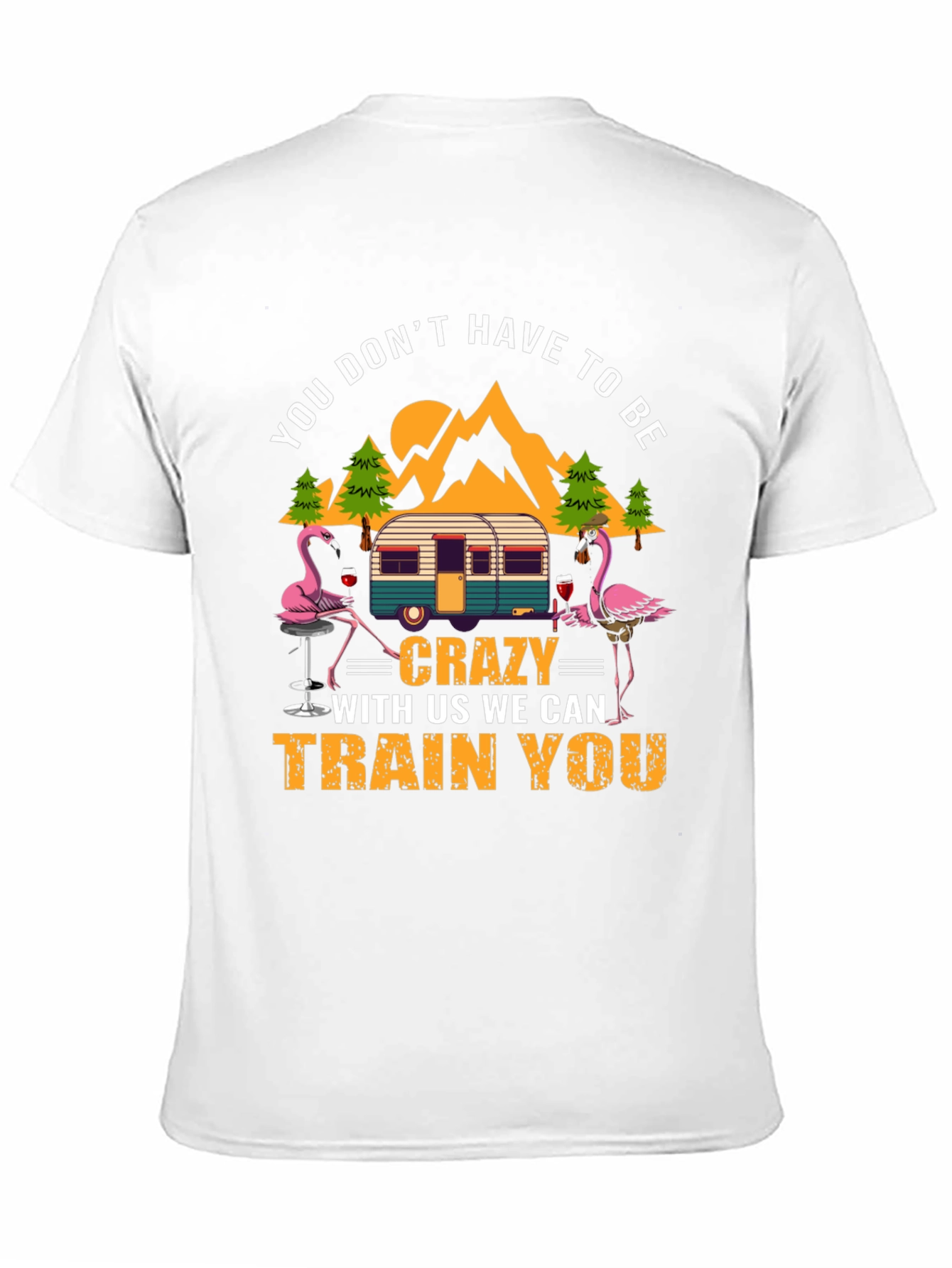 Black Flamingo Camper T-Shirt: You Don't Have to Be Crazy! view 11