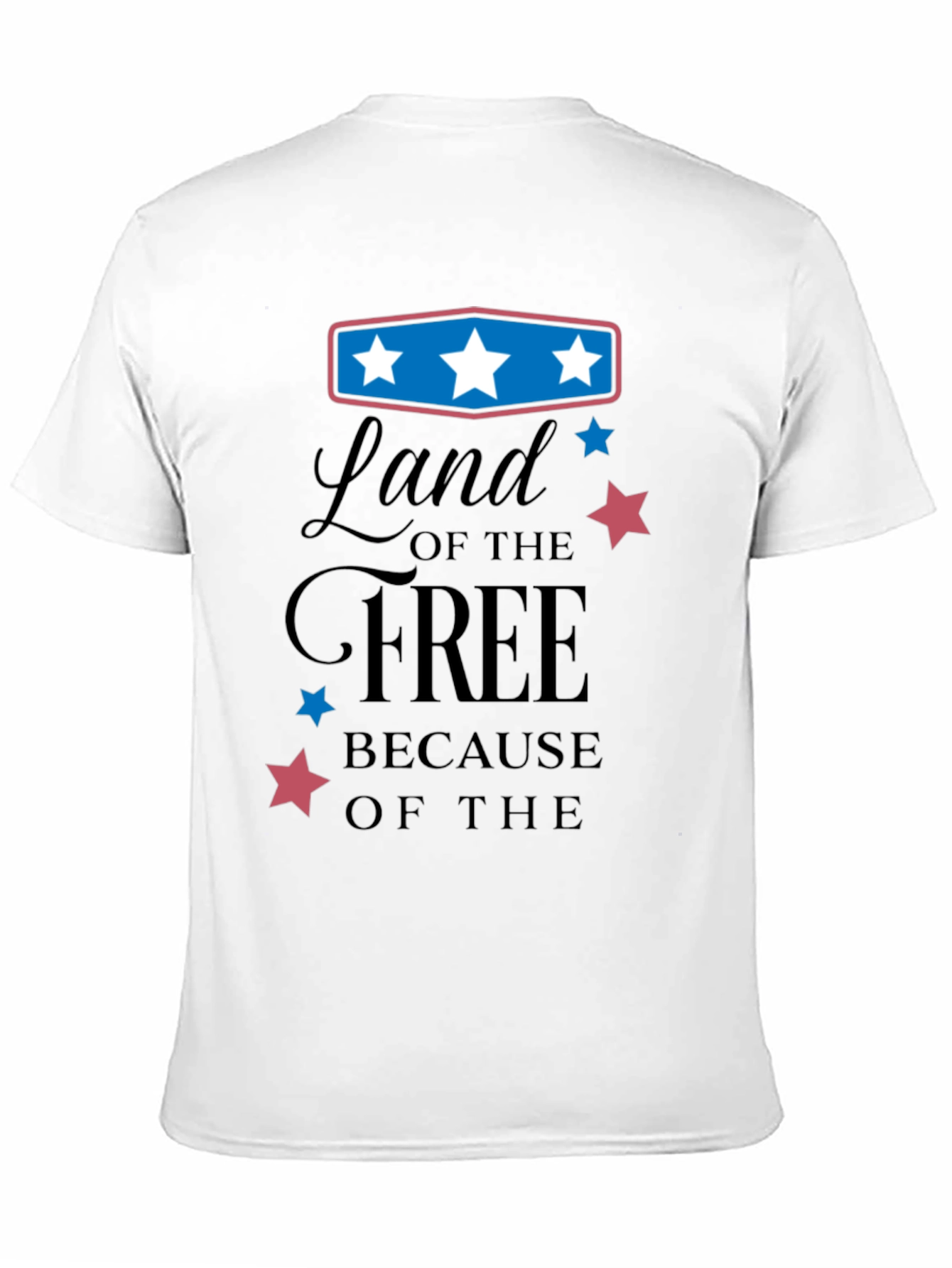 Black Land of the Free Graphic Tee view 11