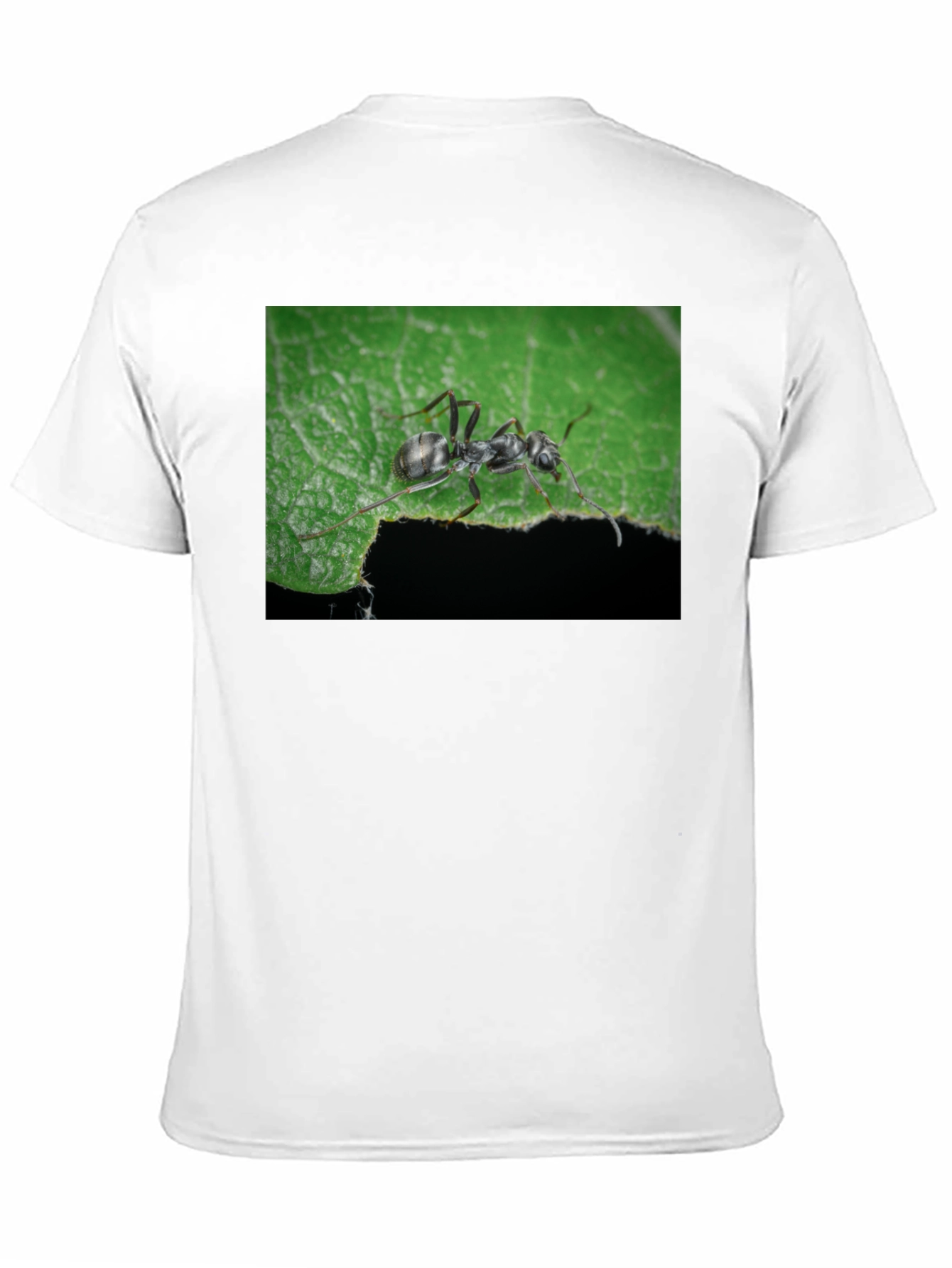 Black Ant on Leaf Graphic Tee - Nature Lover's T-Shirt view 11