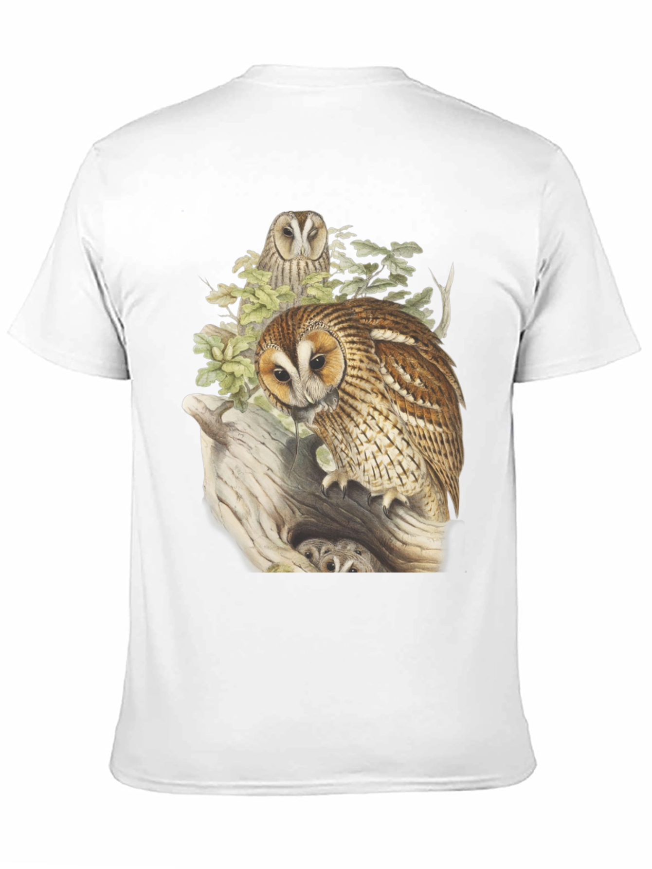 Black Owl Graphic Tee - Nature Inspired Design view 11