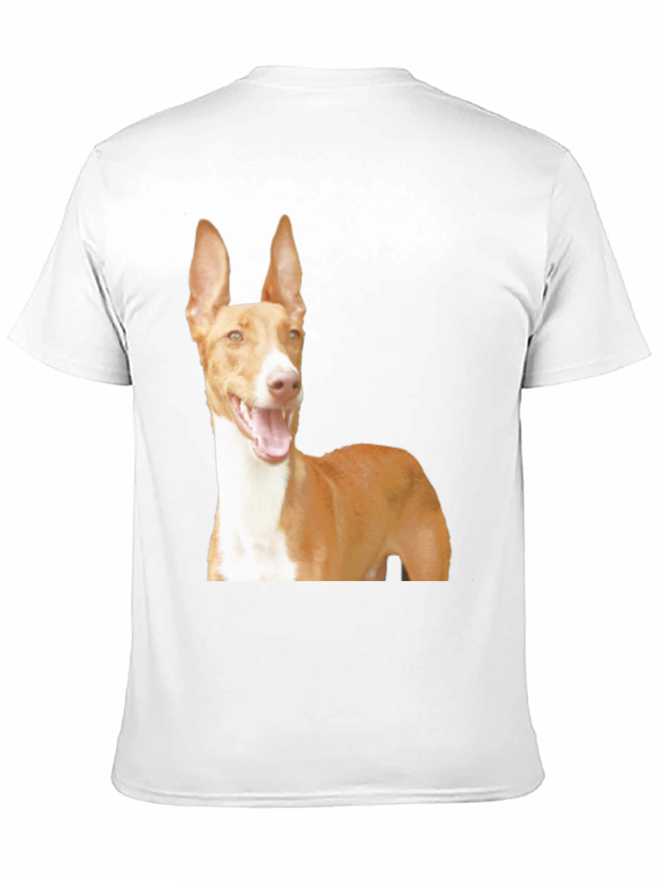 Black Dog Breed Graphic Tee - Ibizan Hound on Black Shirt view 11
