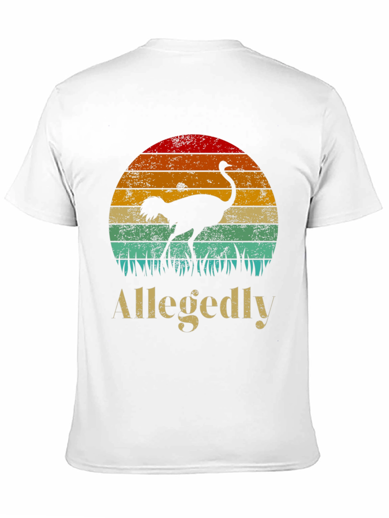 Black Allegedly Ostrich Sunset Graphic Tee view 11