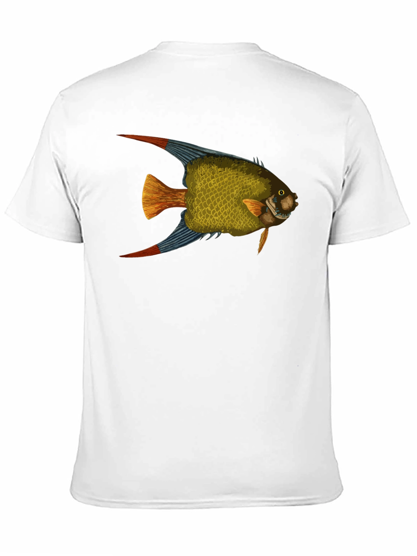 Black Fish Graphic Black T-Shirt view 11