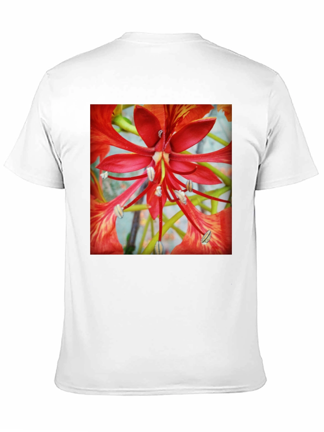 Black Bold Floral T-Shirt - Vivid Red Blossom Design view 11