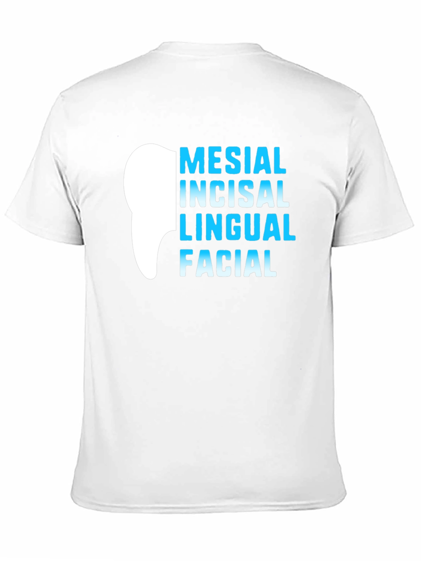 Black Dental Anatomy T-Shirt - Mesial Incisal Lingual Facial - Dentist Gift view 11