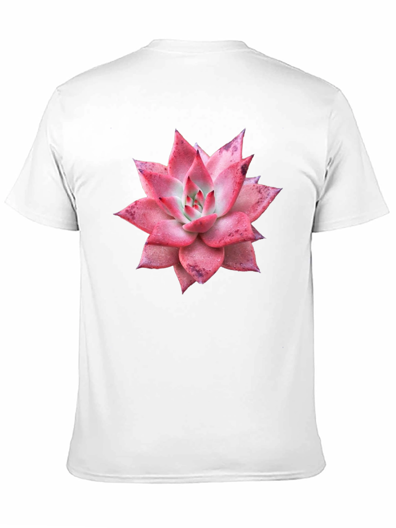 Black Succulent Graphic Tee - Black Cotton T-Shirt view 11