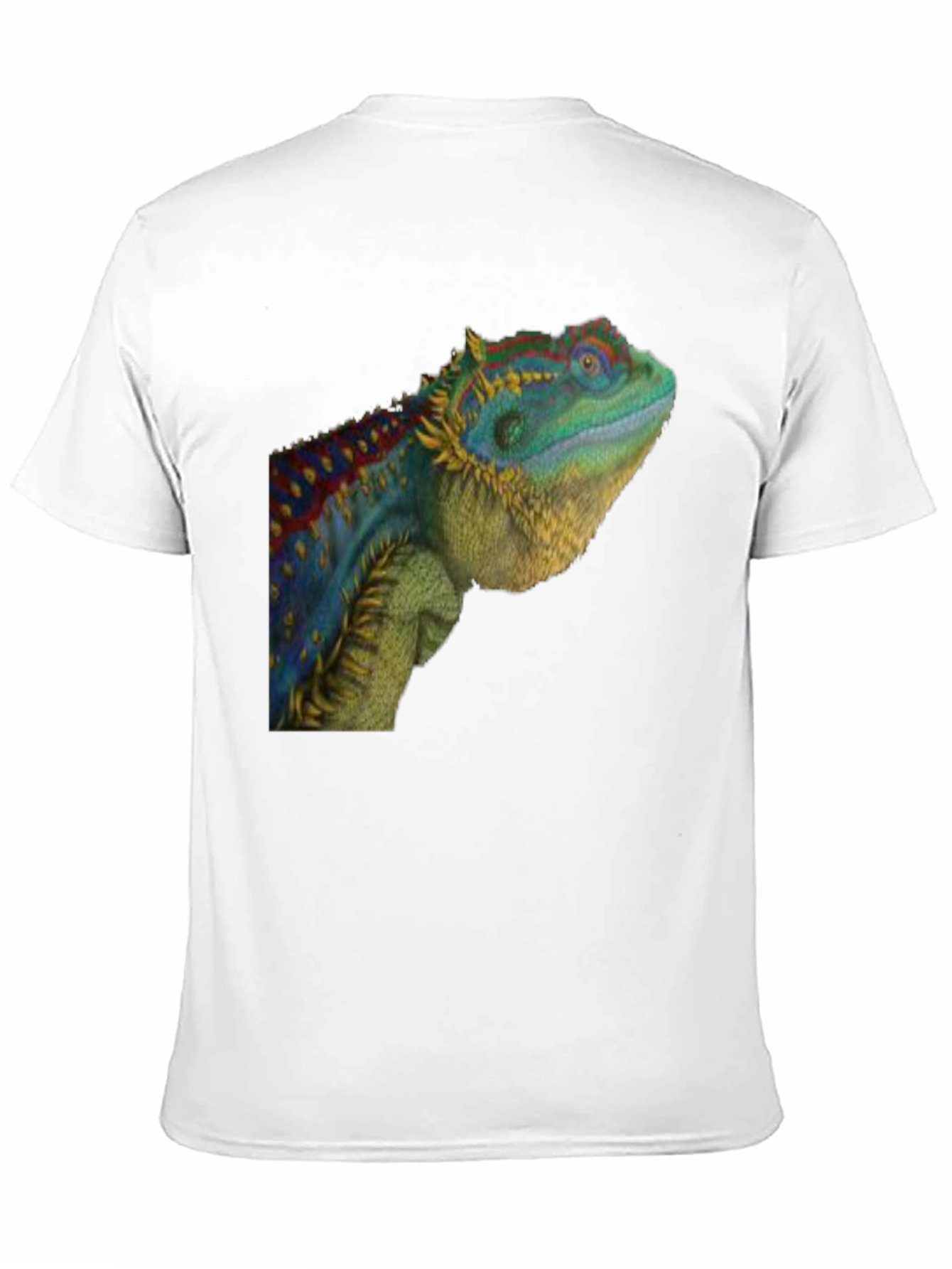 Black Lizard Graphic T-Shirt - Cool Reptile Tee view 11
