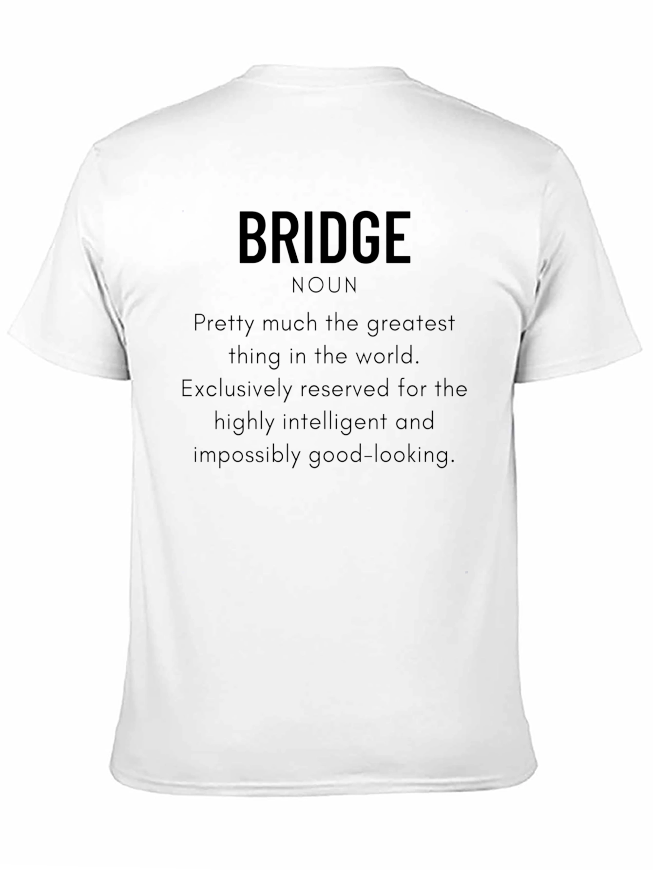 Black Bridge Noun - Intelligent Humor T-Shirt view 11