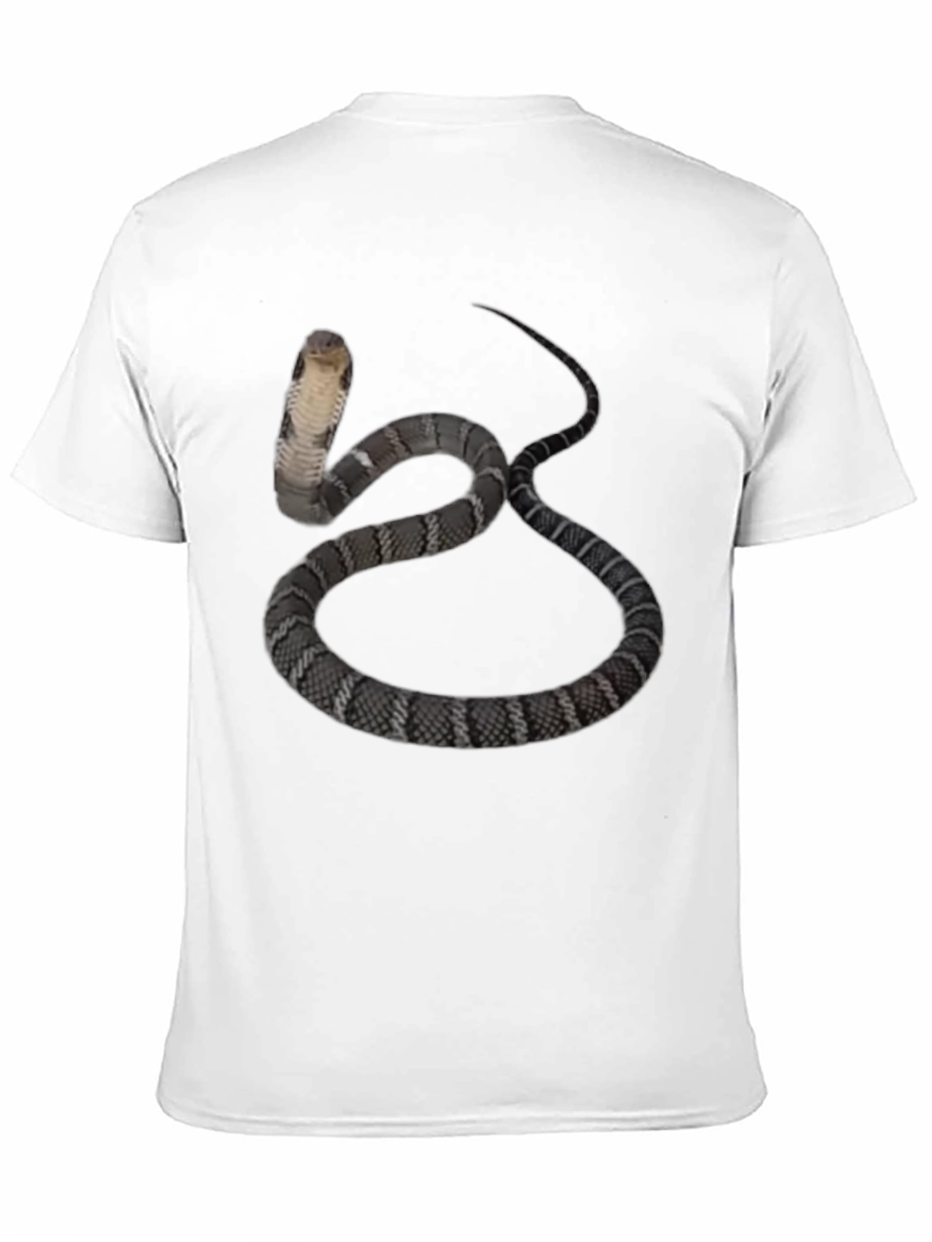 Black Cobra Snake Graphic Tee - Men's Black T-Shirt view 11