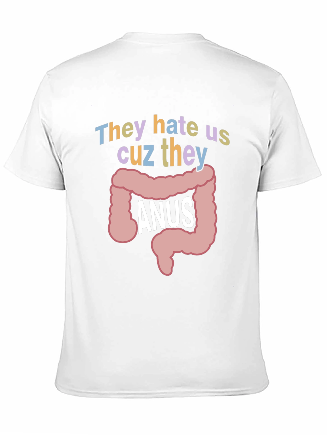 Black Anus Graphic T-Shirt: They Hate Us Funny Tee view 11