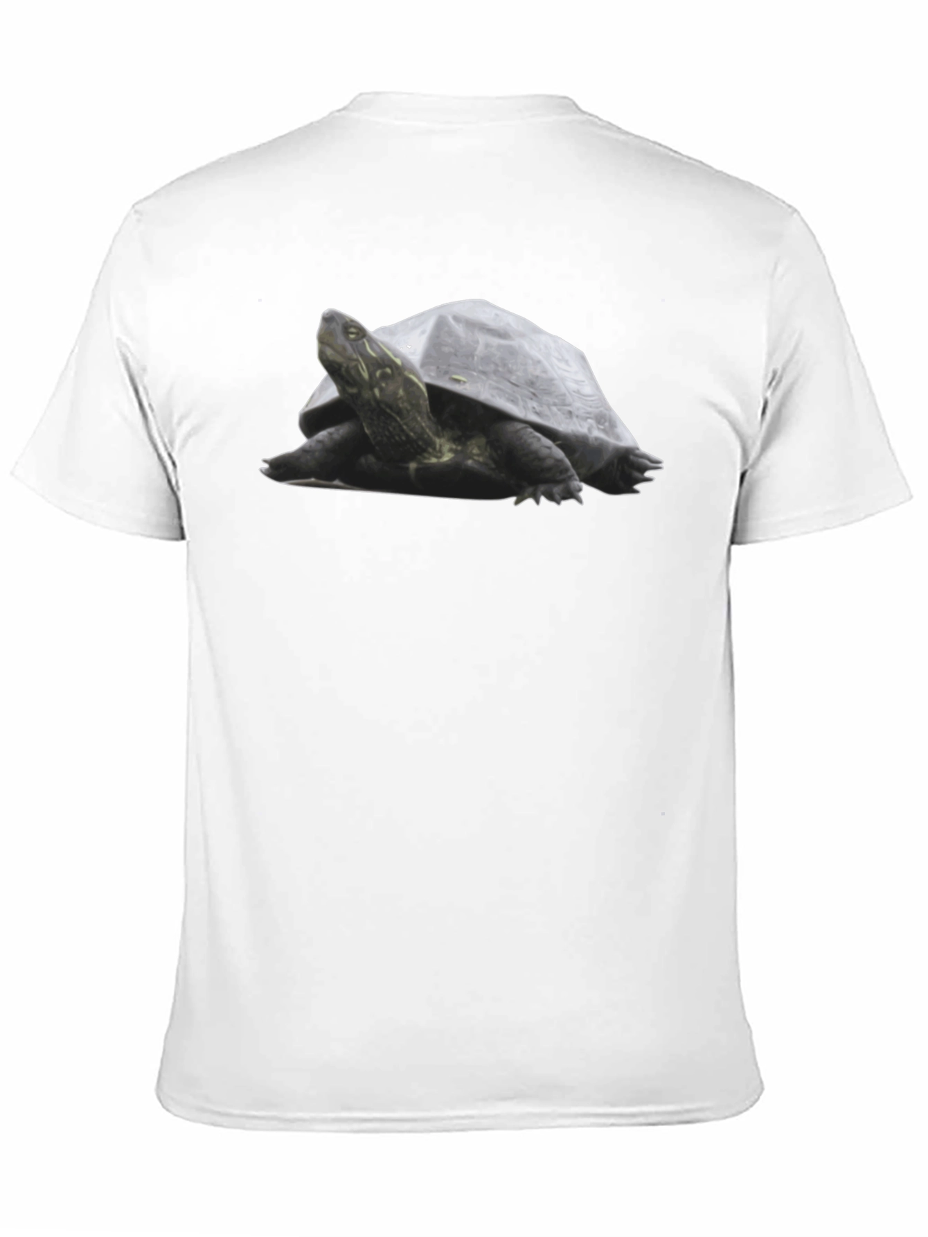 Black Turtle Graphic Tee - Black Cotton T-Shirt view 11