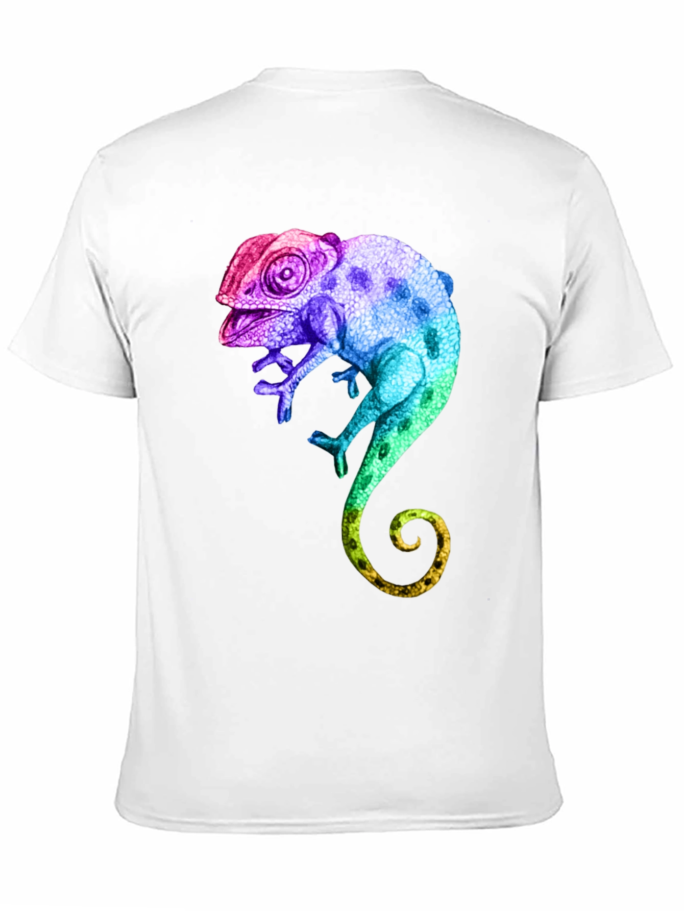 Black Rainbow Chameleon Graphic T-Shirt view 11