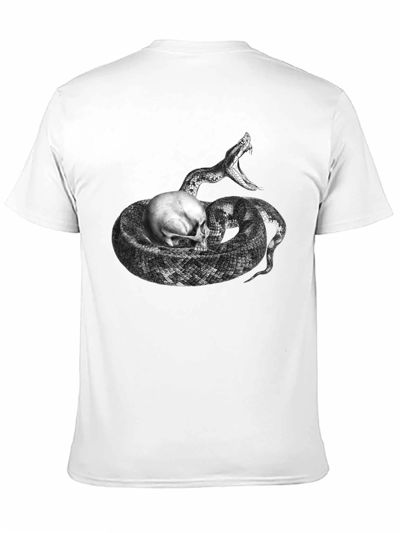 Black Skull & Snake Graphic Tee - Black Cotton T-Shirt view 11