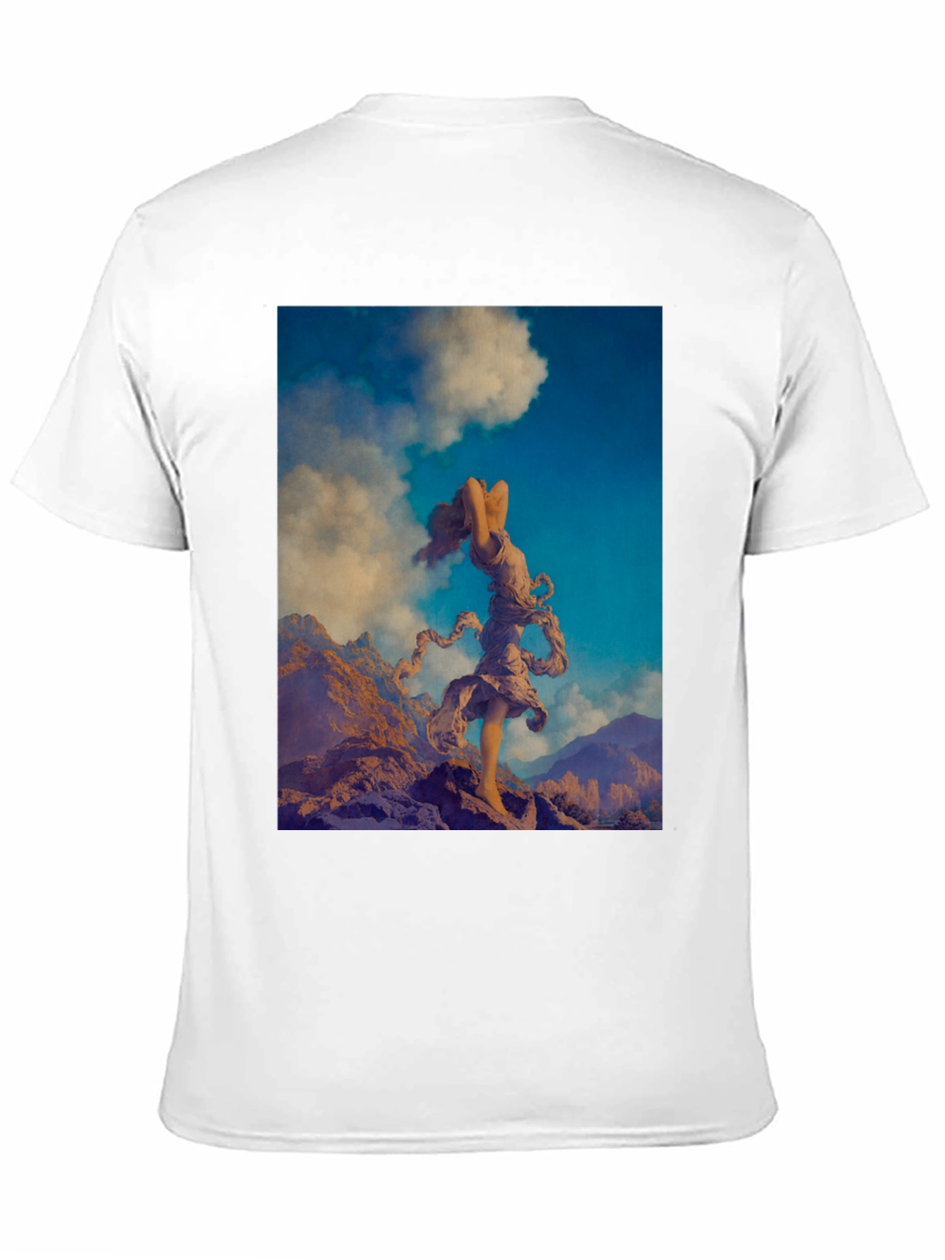 Black Mountain Muse Graphic Tee view 11