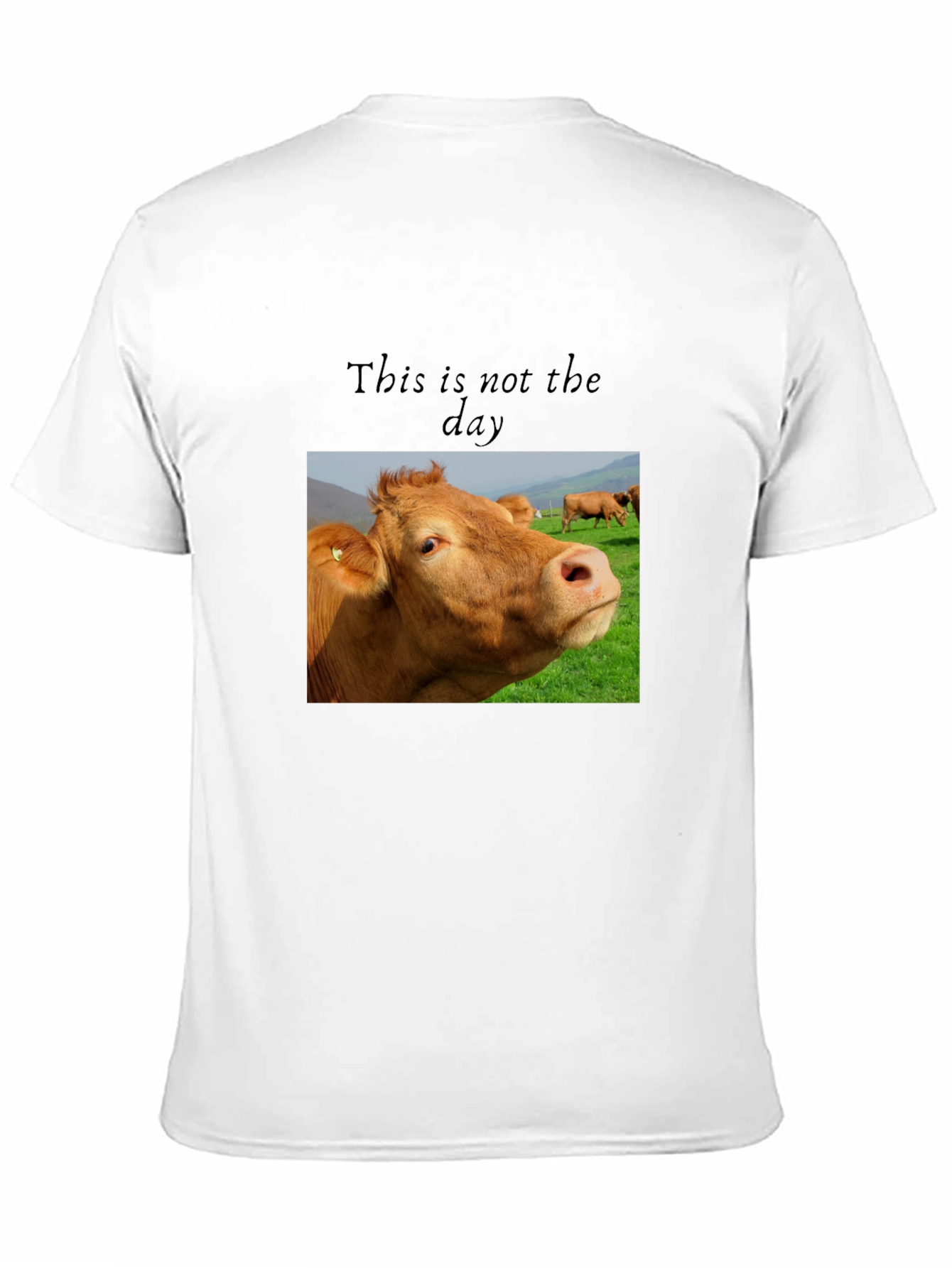 Black Cow Graphic T-Shirt - "This is not the day" view 11