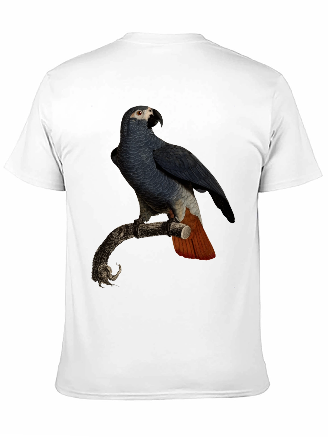 Black Parrot Graphic T-Shirt - Men's Black Tee view 11