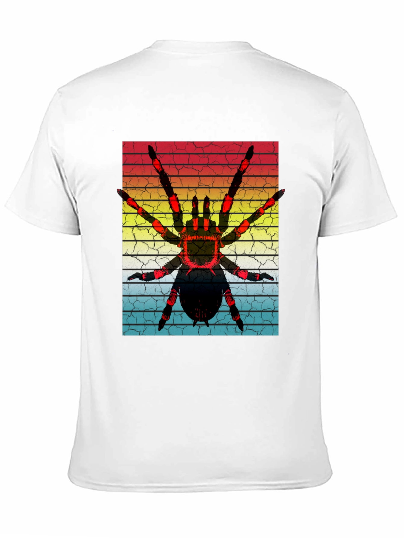 Black Vintage Spider Graphic T-Shirt view 11