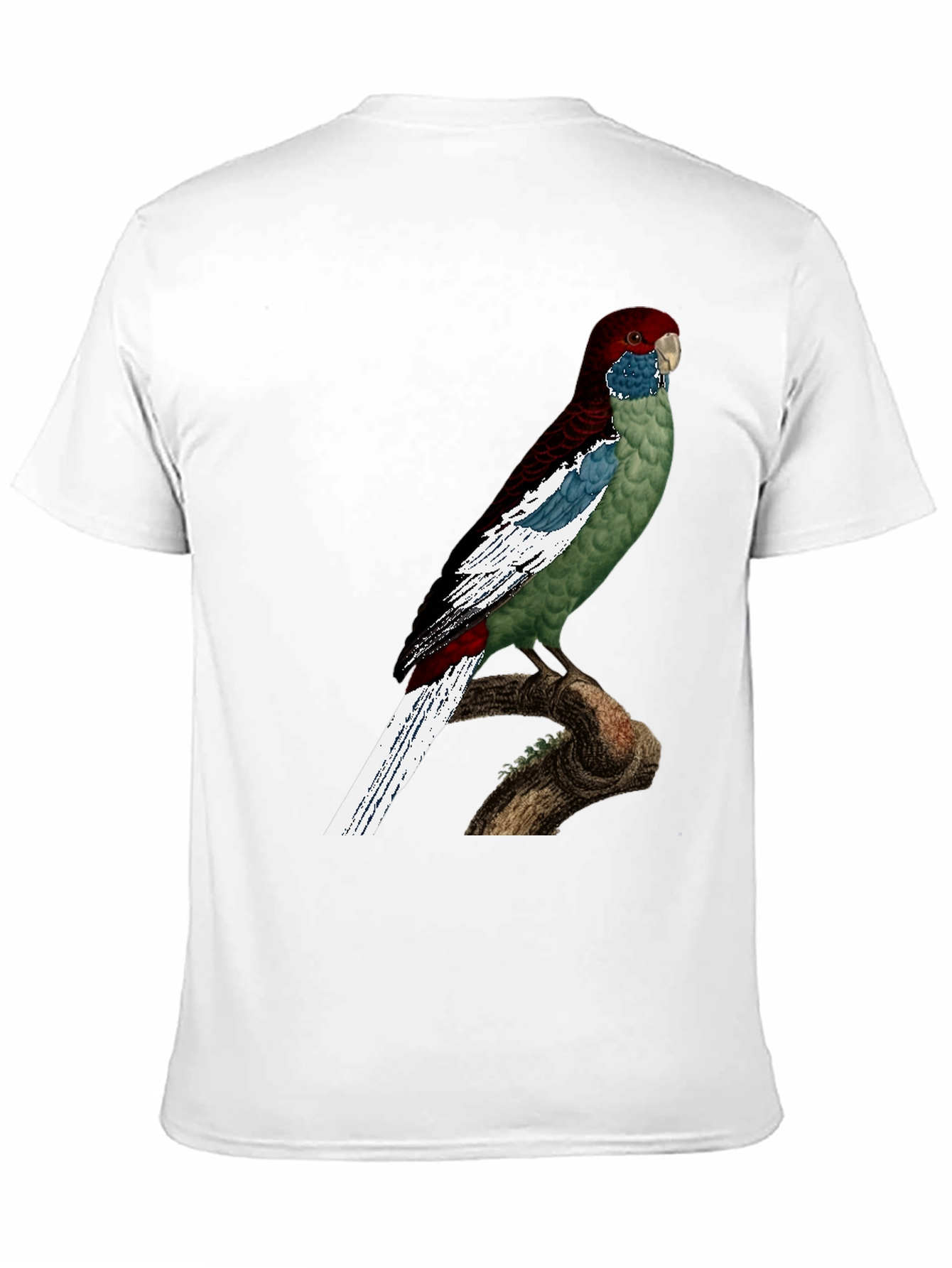 Black Parrot Graphic T-Shirt - Unique Bird Design view 11