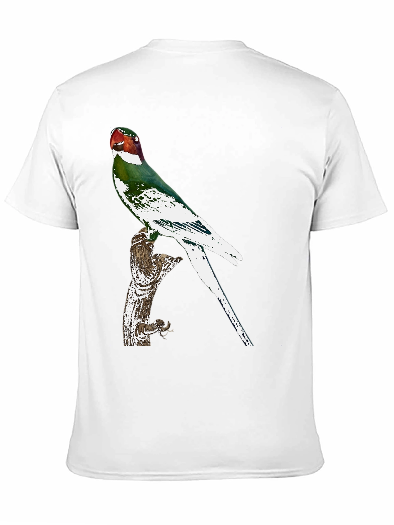 Black Parrot Graphic Tee - Black Cotton T-Shirt view 11