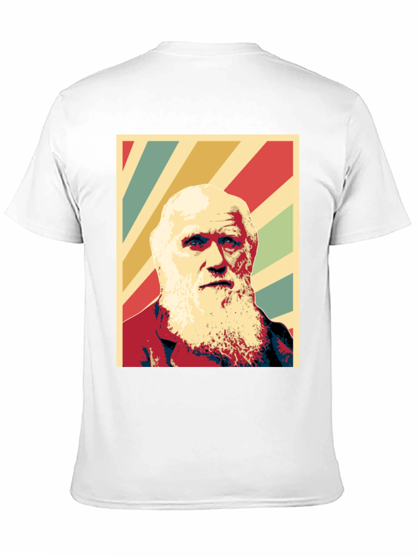 Black Darwin Graphic Print T-Shirt - Black view 11