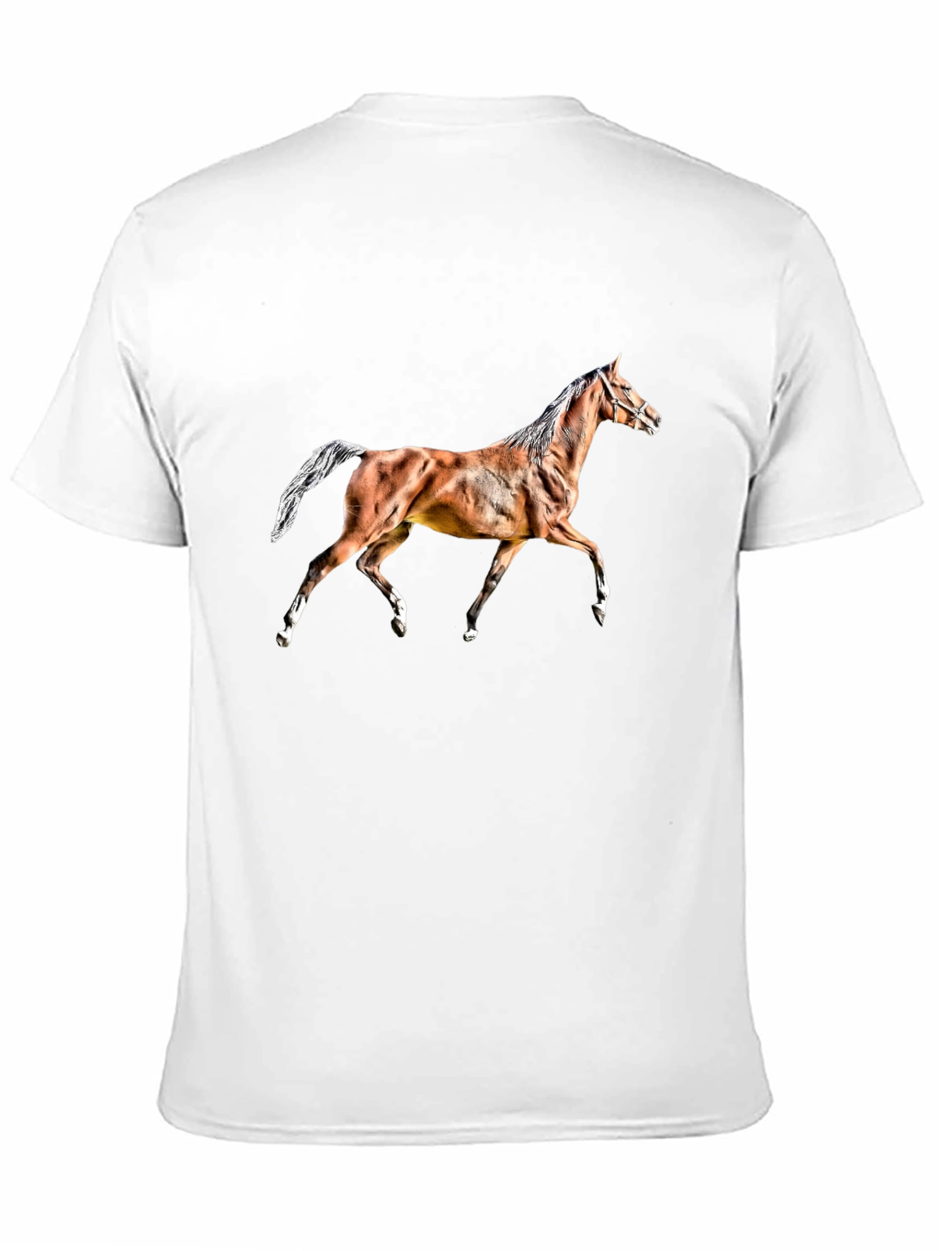 Black Horse Graphic Tee - Black Cotton T-Shirt view 11