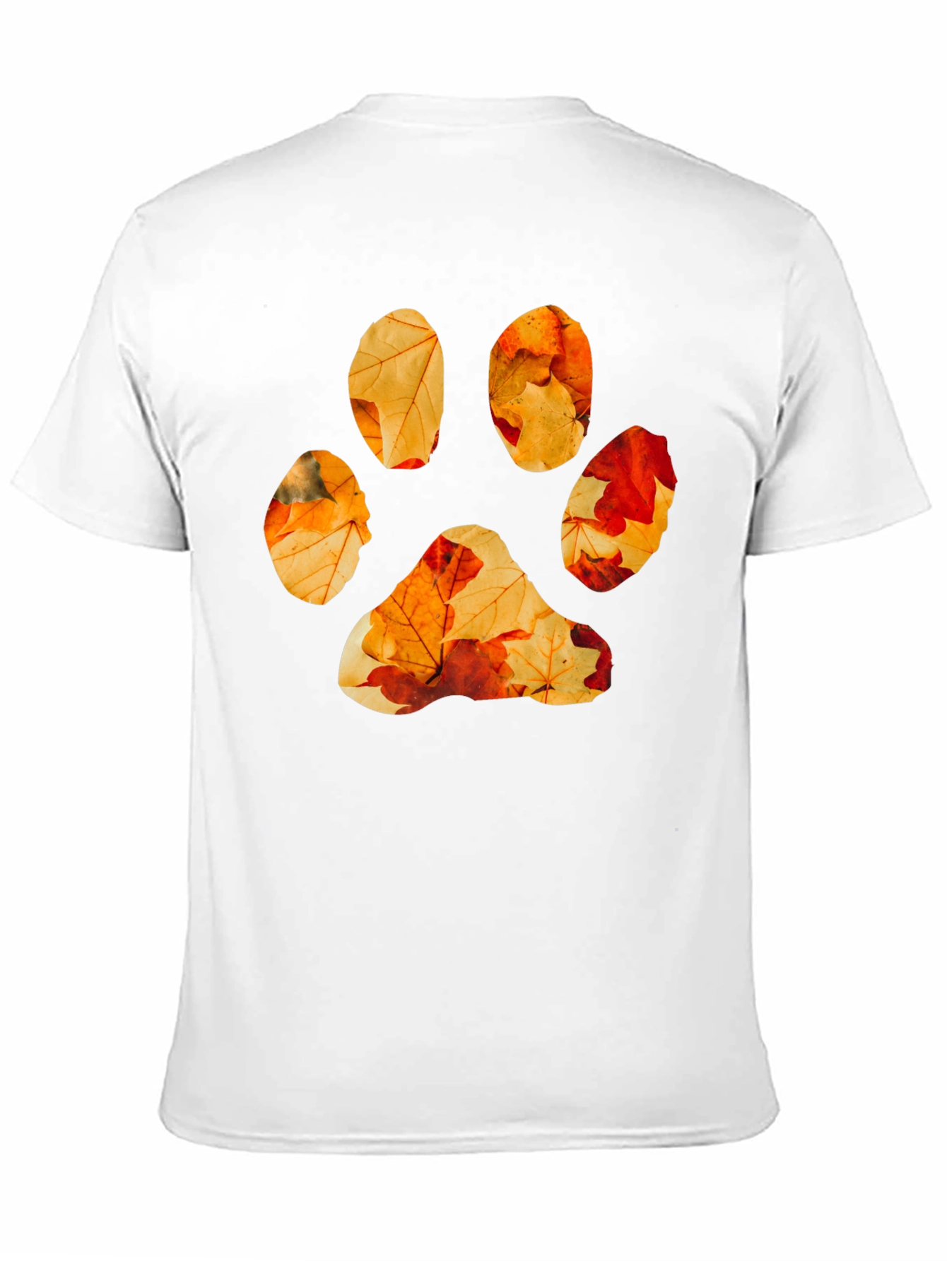 Black Fall Leaves Paw Print Graphic Tee - Black Cotton view 11